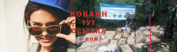 бошки Магас