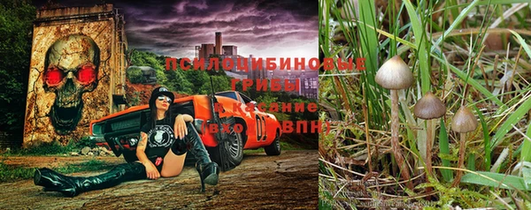 бошки Магас