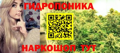 ешки Волжск