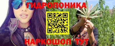 индика Берёзовский