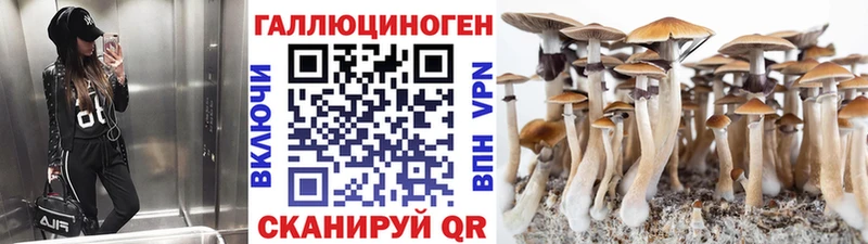 Псилоцибиновые грибы Psilocybe  Волгодонск 