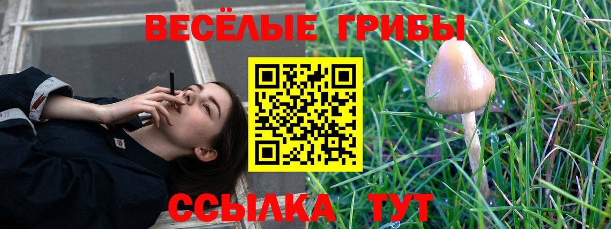 Псилоцибиновые грибы GOLDEN TEACHER  закладки  Волгодонск 