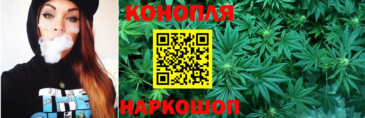Бошки марихуана сатива Волгодонск